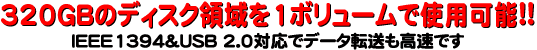 320GBのディスク領域を1ボリュームで使用可能!!