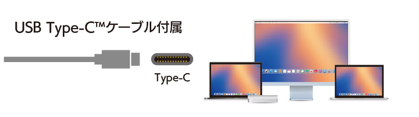 全てのパソコンにケーブル1本で接続